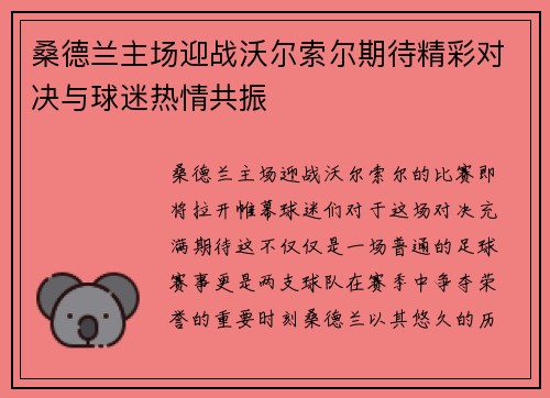 桑德兰主场迎战沃尔索尔期待精彩对决与球迷热情共振